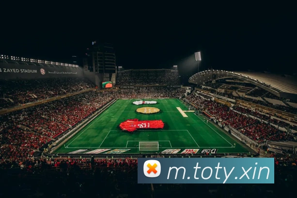 好体育APP 封面图